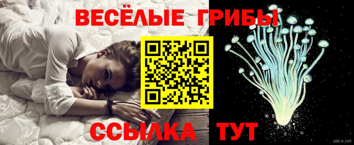 Костомукша  Псилоцибиновые грибы Magic Shrooms  Вход с VPN  Галлюциногенные грибы прущие грибы 