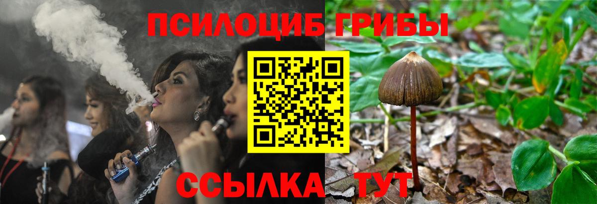 Псилоцибиновые грибы MAGIC MUSHROOMS Костомукша